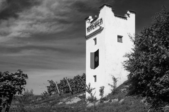 Der Wingertsturm in Mommenheim - Bild Nr. 201310031917