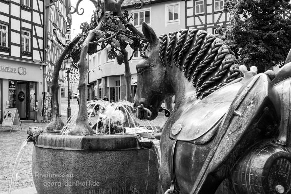 Der Rossmarktbrunnen in Alzey - Bild Nr. 201608064864